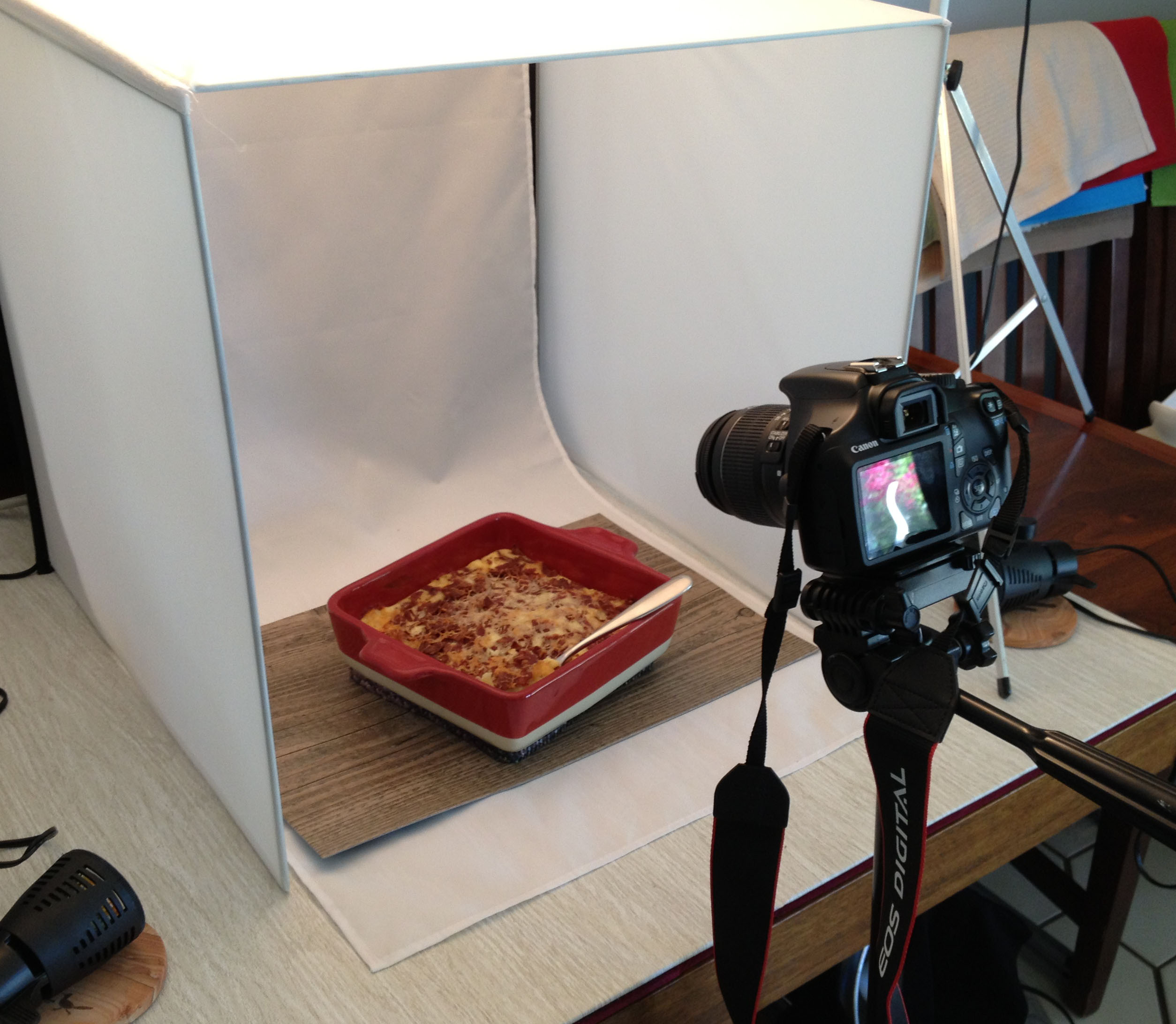 photoshoot (4)