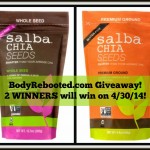 Super Smoothie Challenge & Giveaway