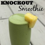 Knockout Smoothie with Everlast VP Vegan Protein {Review}